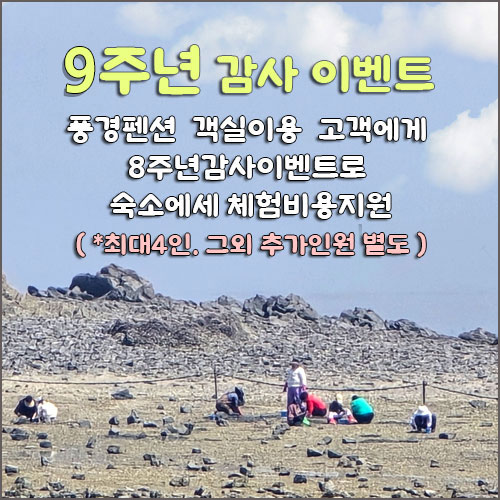 다음